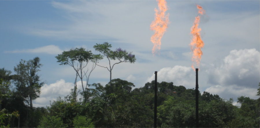 ÜBER DEN FUND DER “NEUEN UND MILLIARDENSCHWEREN” ÖLRESERVEN IM YASUNÍ NATIONALPARK IN ECUADOR